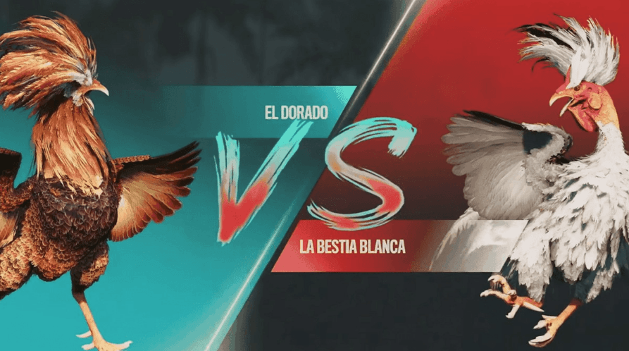 207bet Slots Brasil site